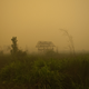 Image for article titled Photos: Inside the toxic haze, a “crime against humanity” caused by Indonesia’s fires